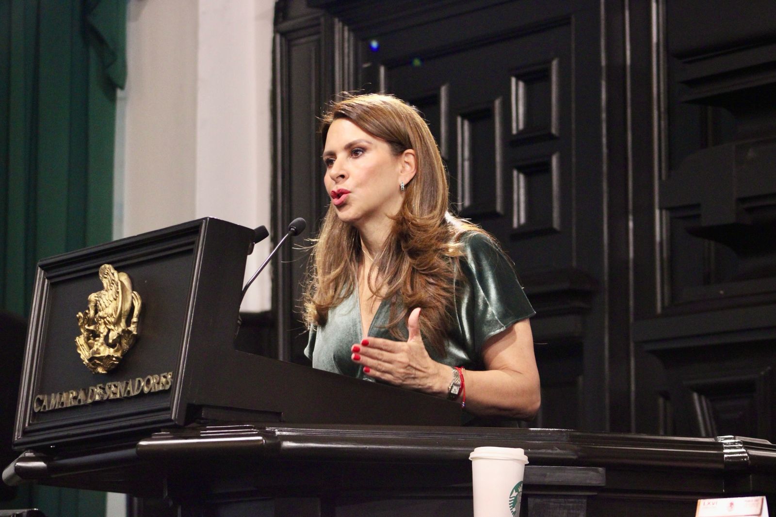 URGE PRESUPUESTO PARA MEJORAR CALIDAD DE VIDADE COMUNIDADCES INDÍGENAS: CAROLINA VIGGIANO