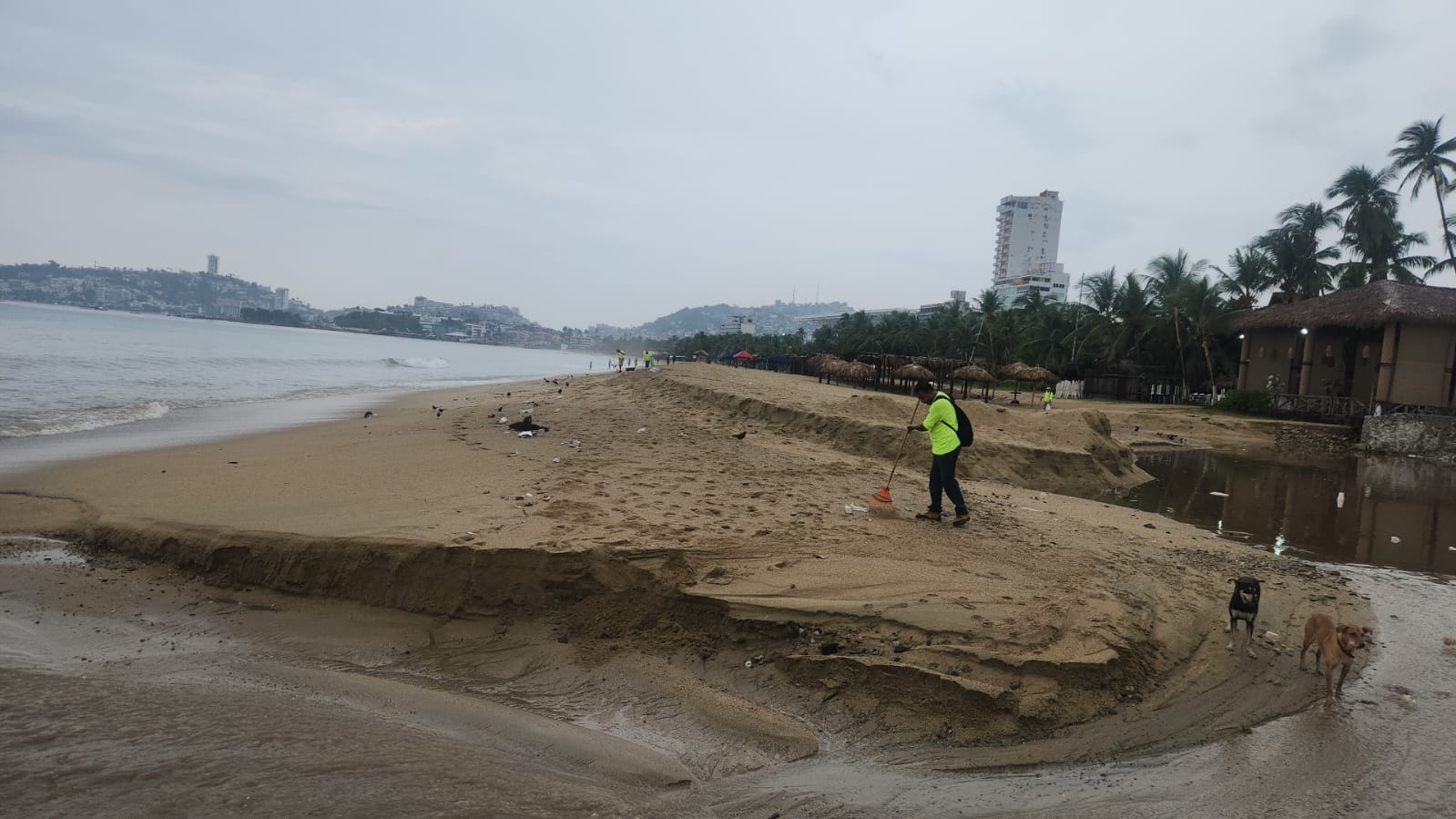 Continúa Promotora de Playas limpieza en la bahía de Acapulco
