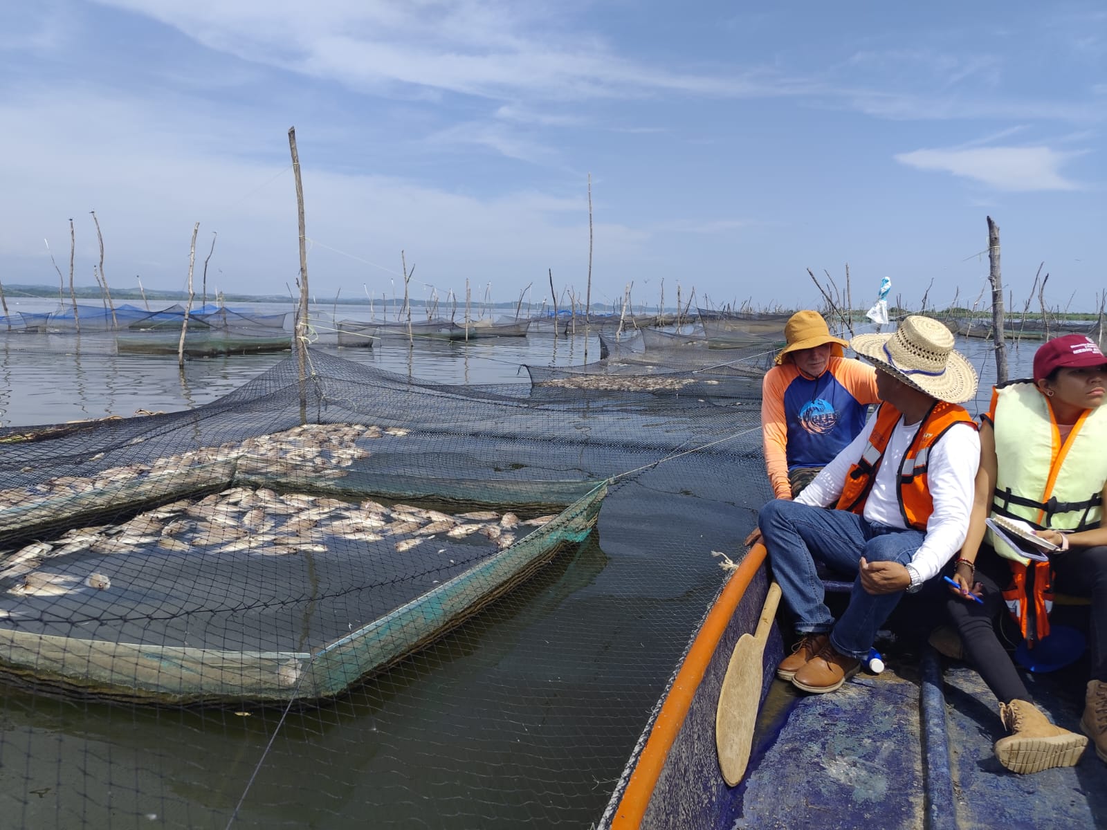 Atiende SEMAREN, COSAEG y Ecología Municipal a acuicultores afectados por mortandad de peces en la Laguna de Tres Palos en Acapulco