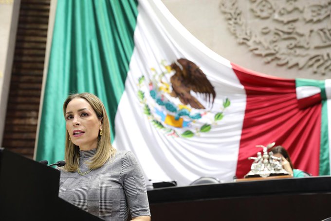 Diputada pide penas de prisión de hasta tres años a quien robe o dañe inmuebles y/o materiales educativos en escuelas, bibliotecas y edificios públicos.