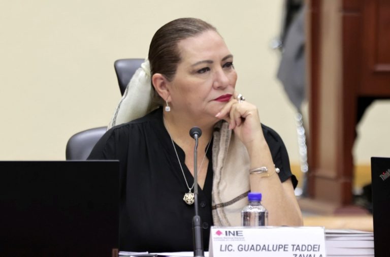 Declara Taddei terminado el proceso de elección de funcionarios del PJF