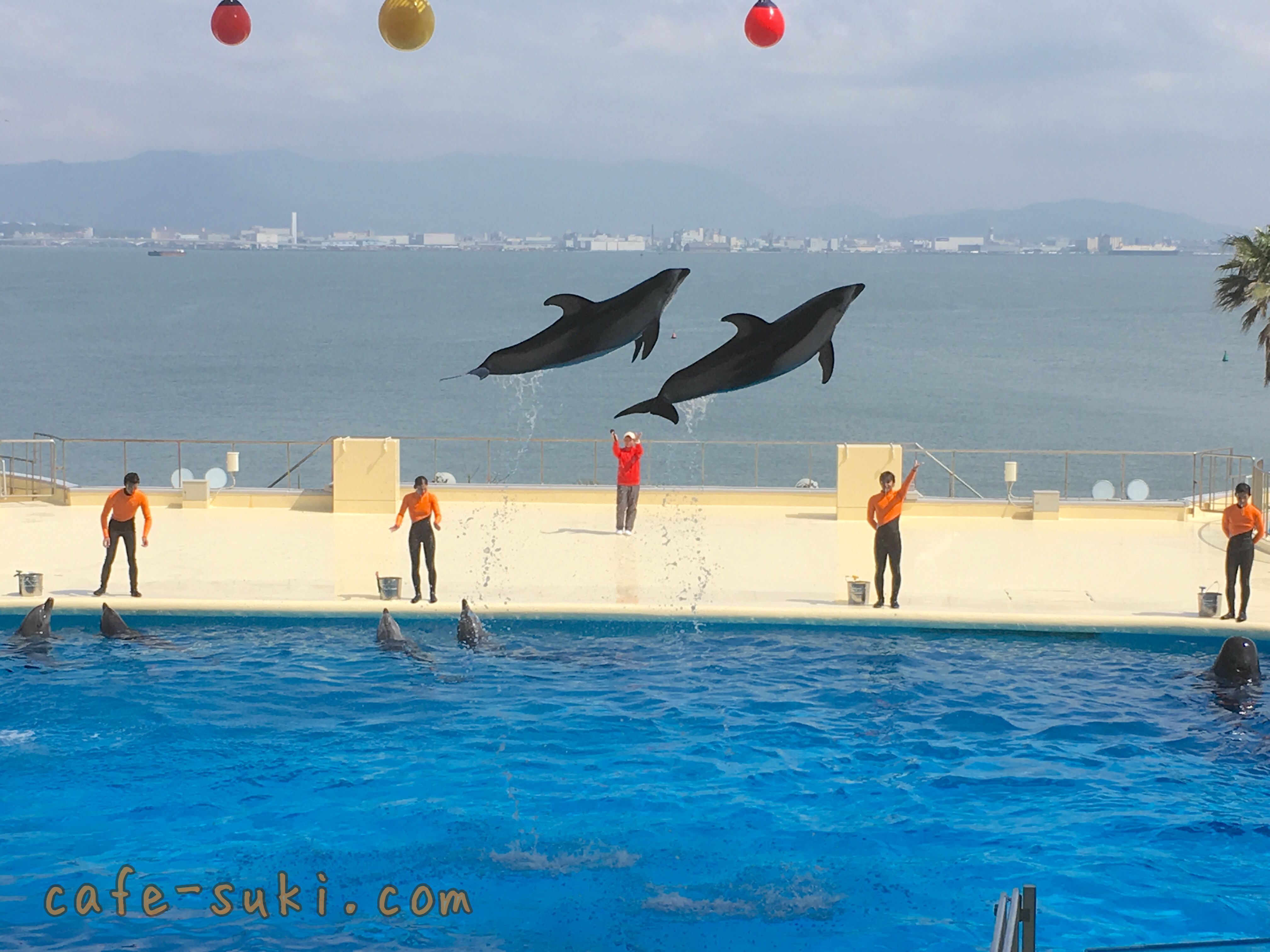 福岡の水族館を楽しむならリニューアルした「マリンワールド海の中道」がオススメ！新たな見どころやショーで見られる可愛い姿をご紹介します