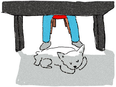 仕事している足下で犬が寝てる