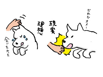 シロは憶えてなかった