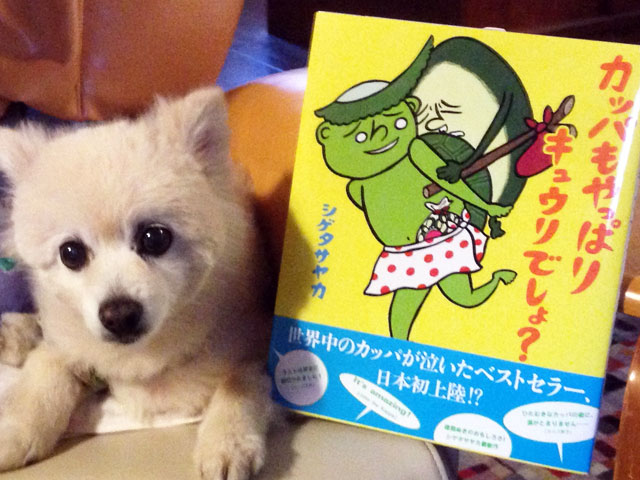 カッパも やっぱり キュウリでしょ?