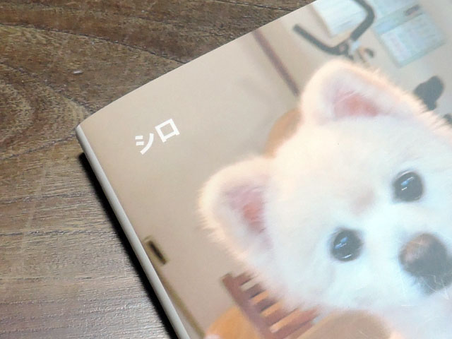 シロのフォトブック