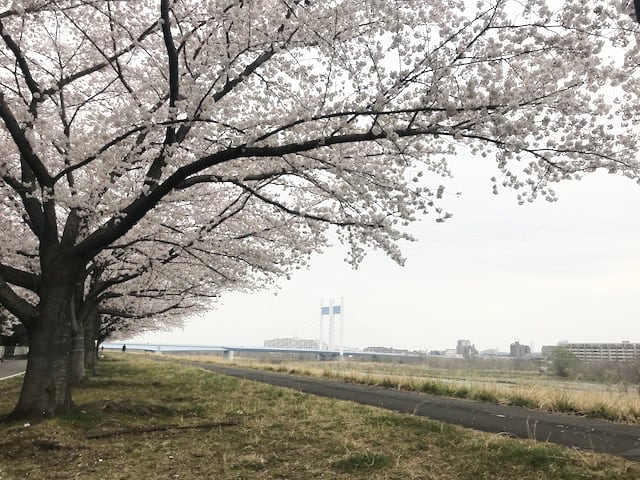 ひとりマラソン大会