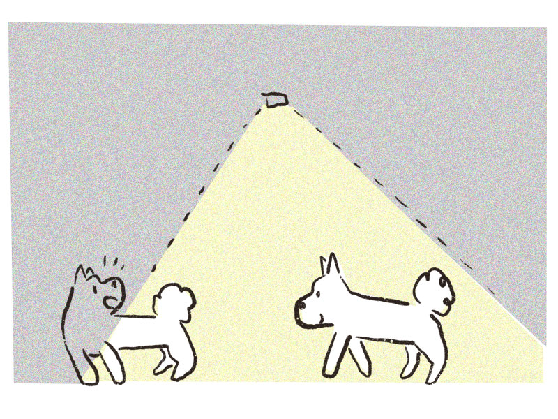 人感センサーライト