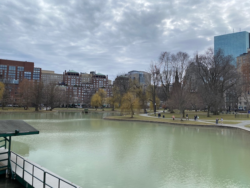 Boston Common Frog pond