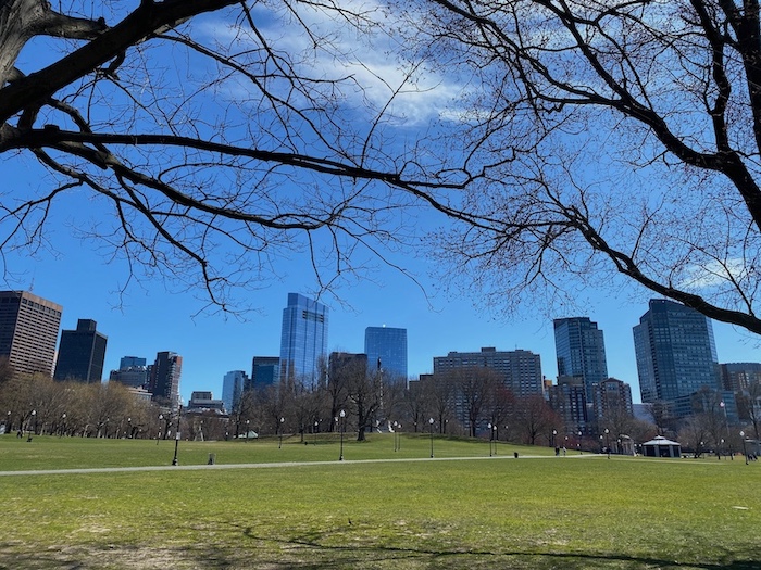 Boston Common