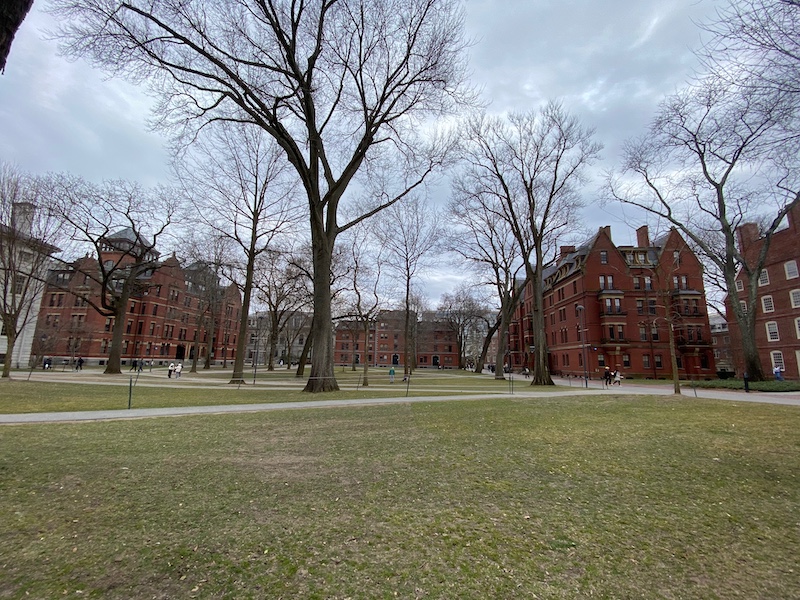 Harvard