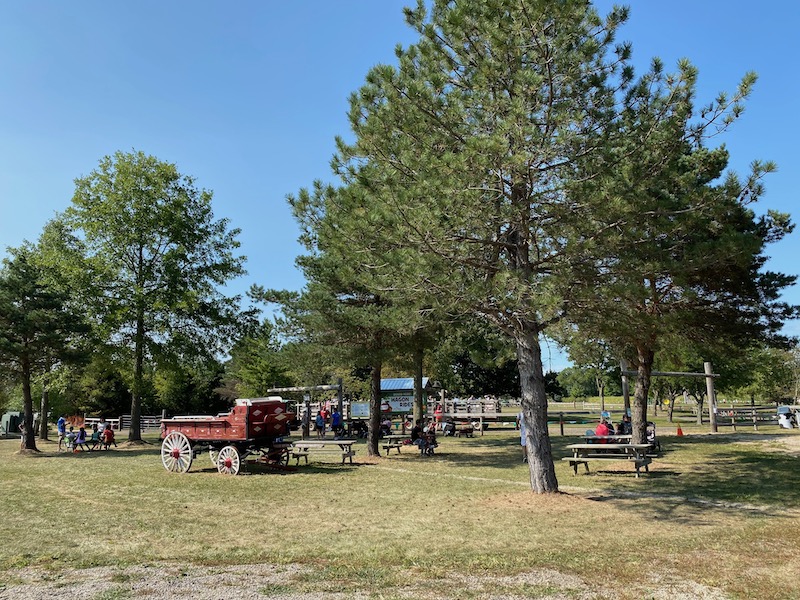 apple orchard