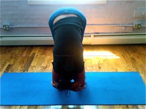yoga forward bend