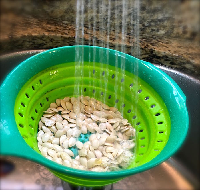 squash seeds