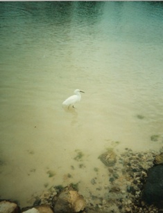 St John