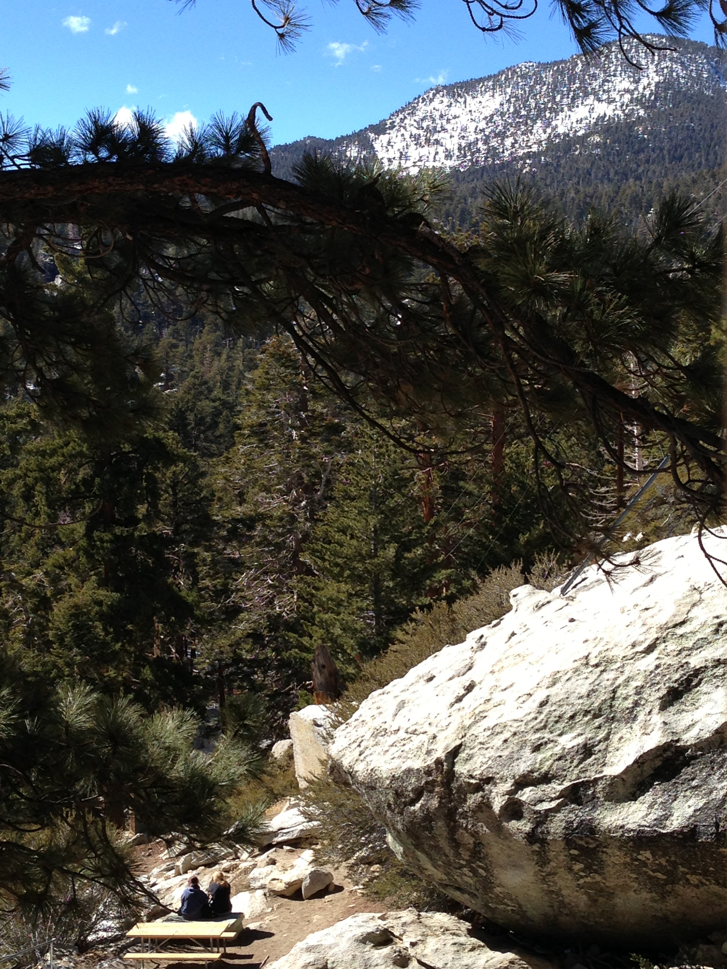 view from Mt. San Jacinto state park in Palm Springs
