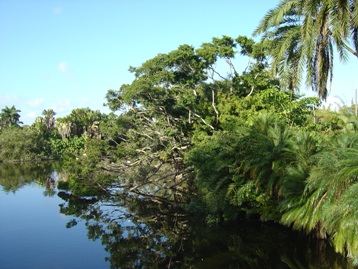 the lake at the PB zoo