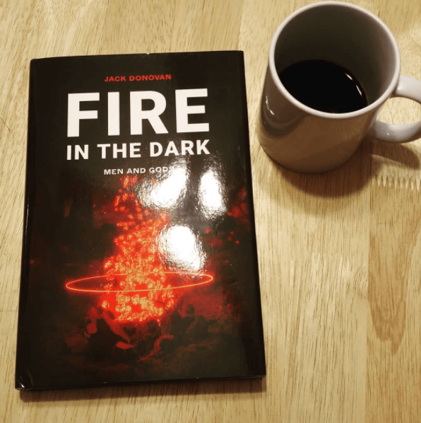 Read more about the article Review: Fire In the Dark