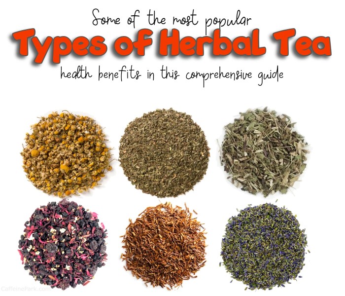 Top 12 Best Herbal Tea Types: A Comprehensive Guide Jenis teh herbal
