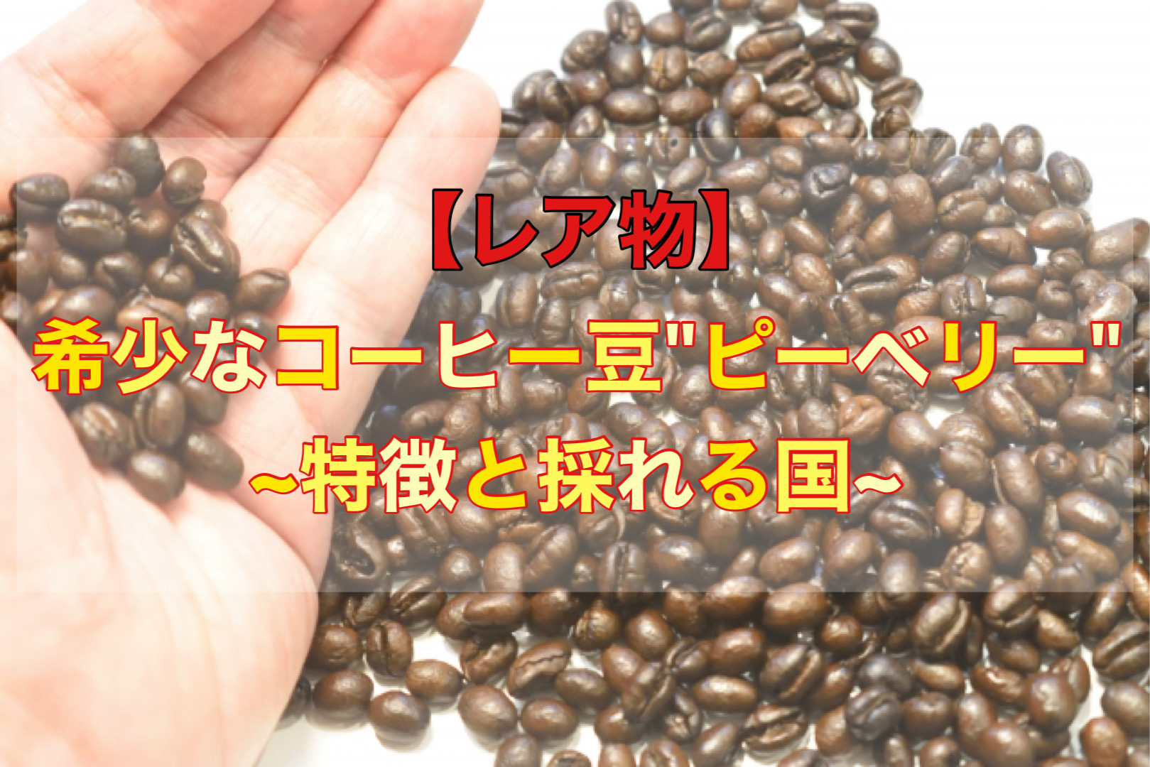 レア物】希少なコーヒー豆”ピーベリー”｜特徴と採れる国 - 自家焙煎