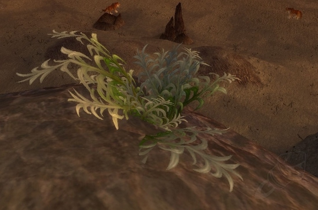 List Of Non Herb Items Used In Alchemy Classicwow Goldthorn is all over the place.