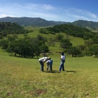 California Rangeland Trust (Calaveras, Yolo, Humboldt & Monterey Counties)
