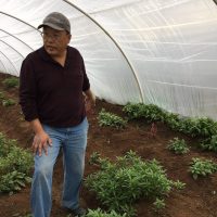 Pao Yang & UCCE Fresno (Fresno County)