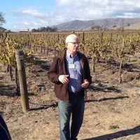 Wolff Vineyards (San Luis Obispo County)