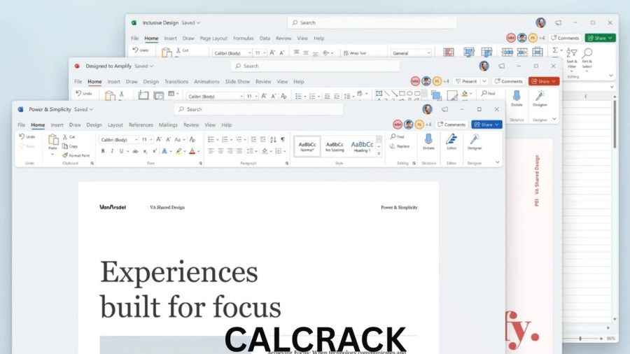 Microsoft Word Professional Plus interface