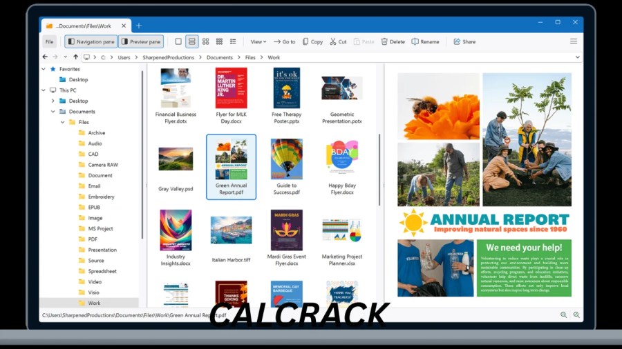 File Viewer Plus software