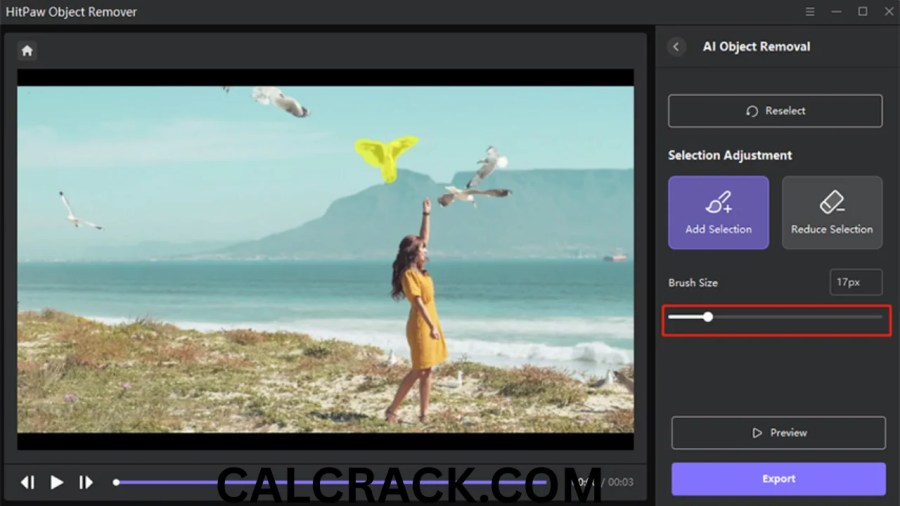 HitPaw Video Object Remover FREE DOWNLOAD