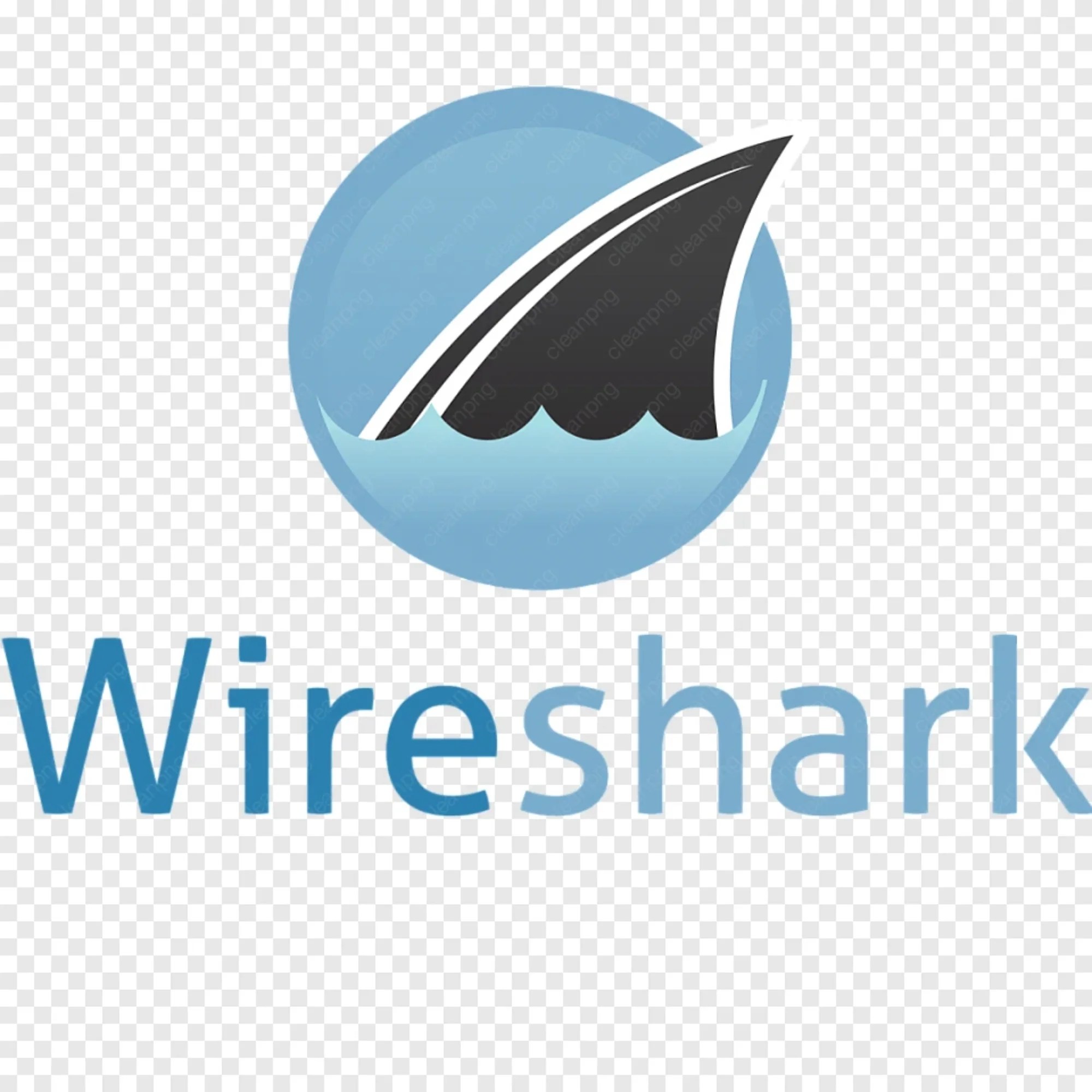 Wireshark display filter interface