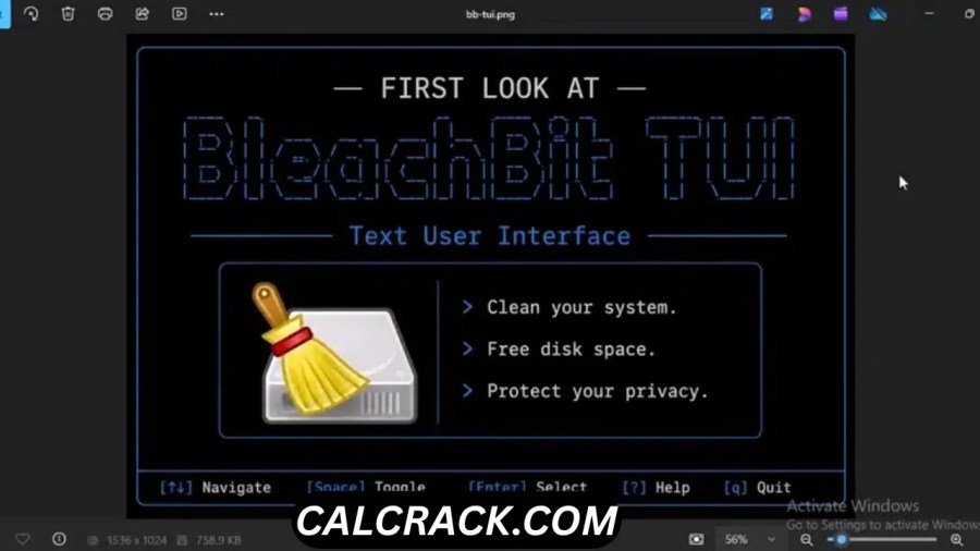 BleachBit main user interface