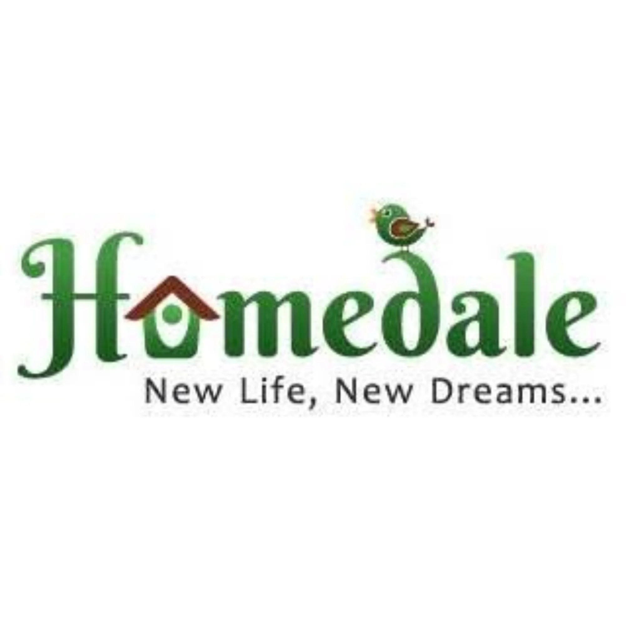 Homedale network adapter information