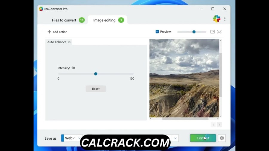 reaConverter Pro file conversion process