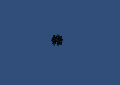 boids4