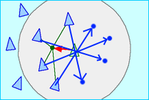 cohesion2