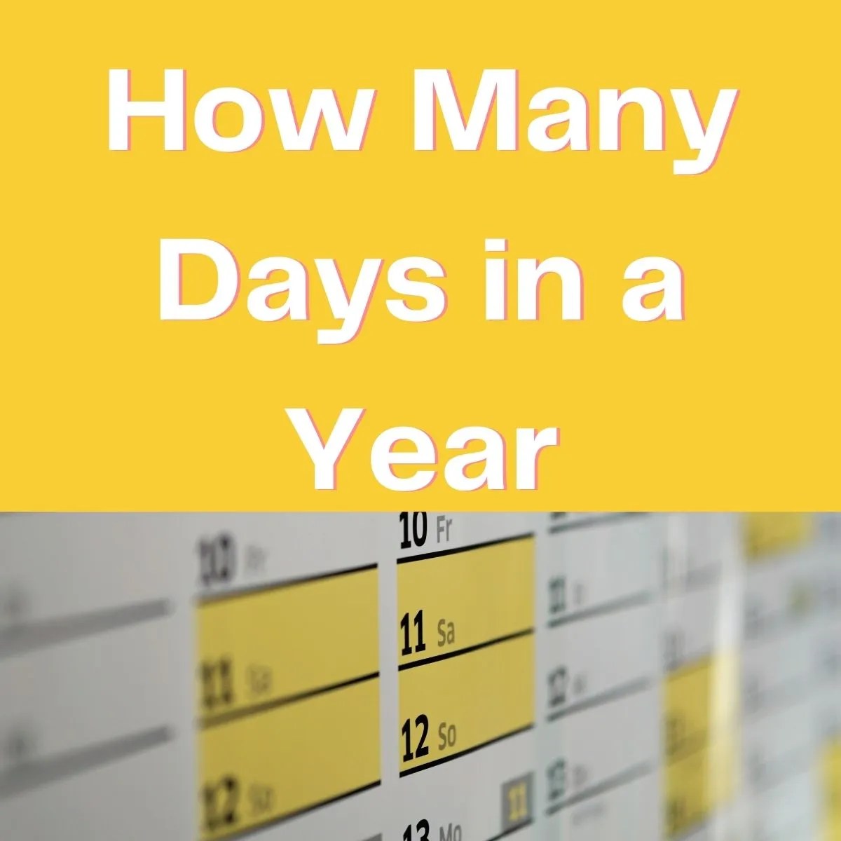 How many days in a year