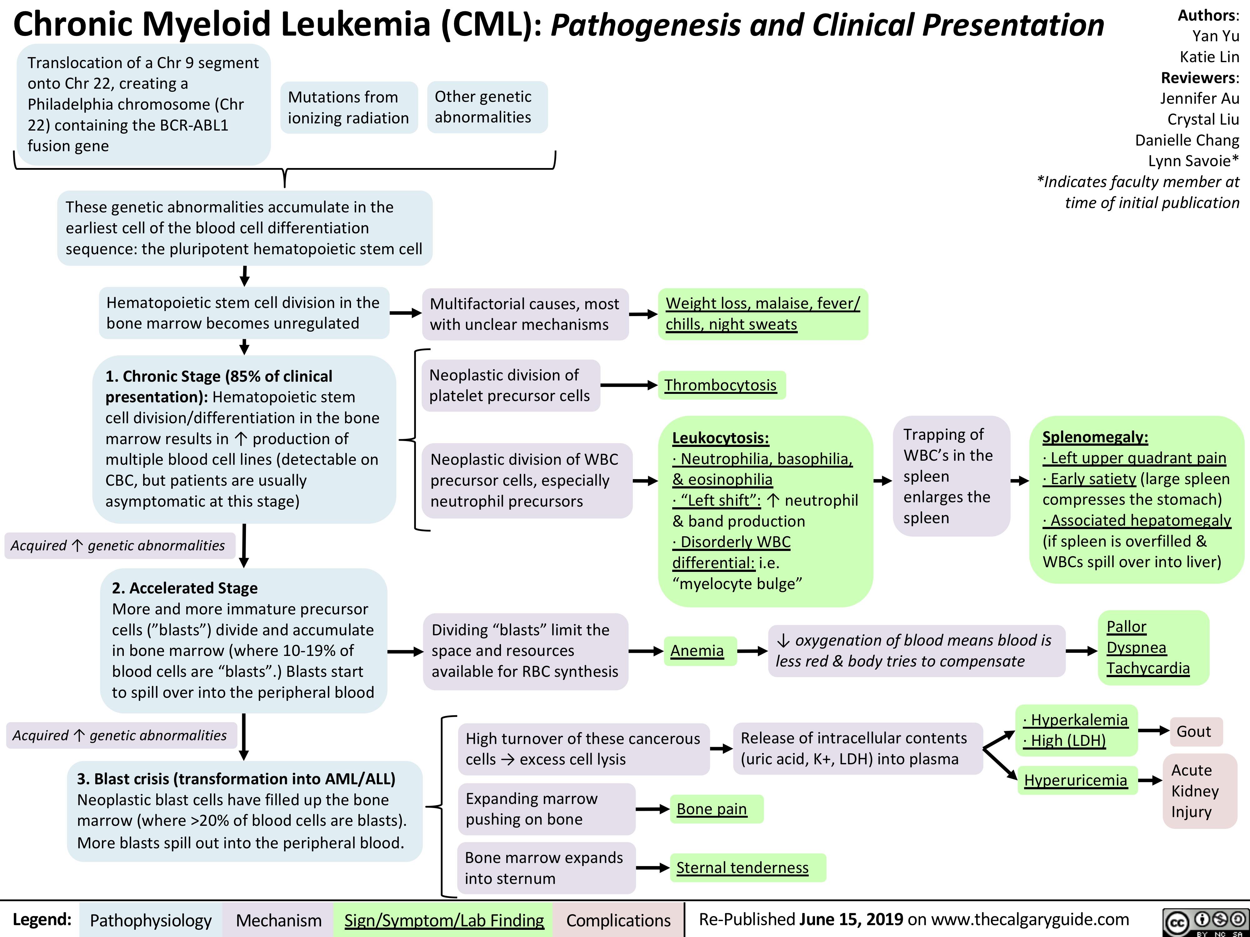 Chronic myeloid leukemia