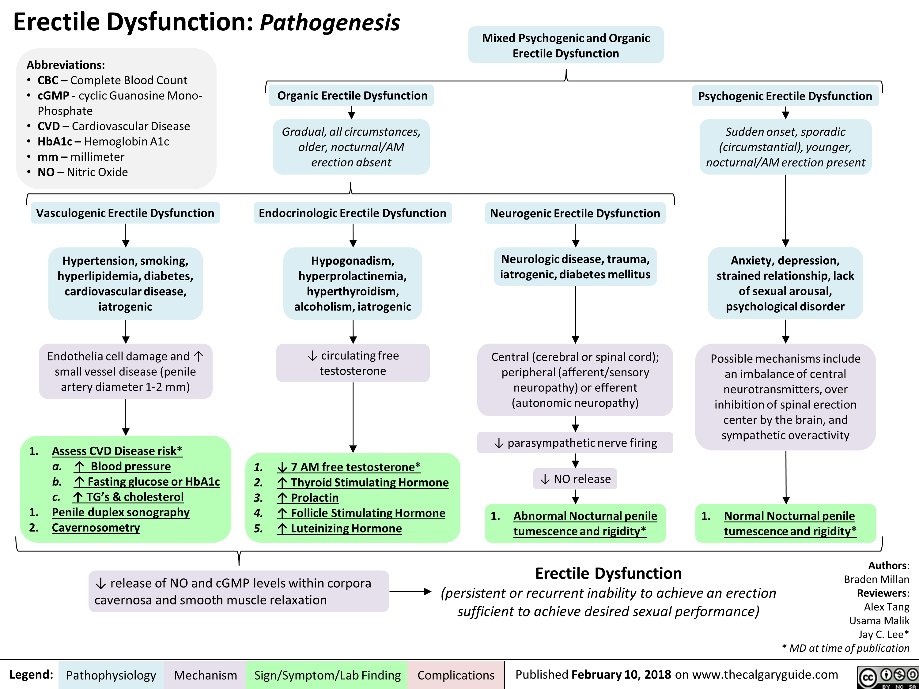 The Pathogenesis of Erectile Dysfunction