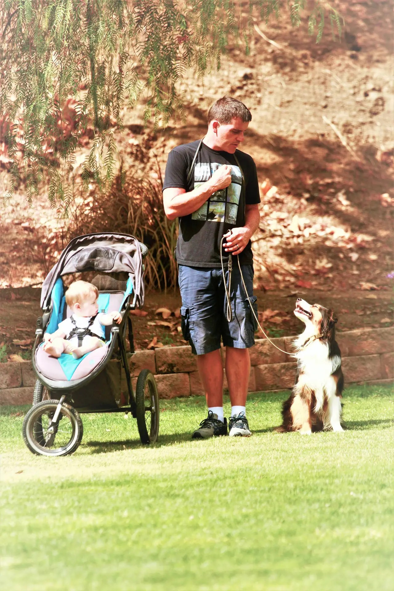 Dog trainer Robert Eimer helping Abby feel calm around children