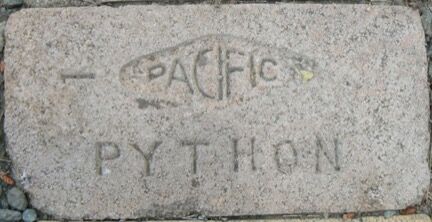 PACIFIC PYTHON firebrick