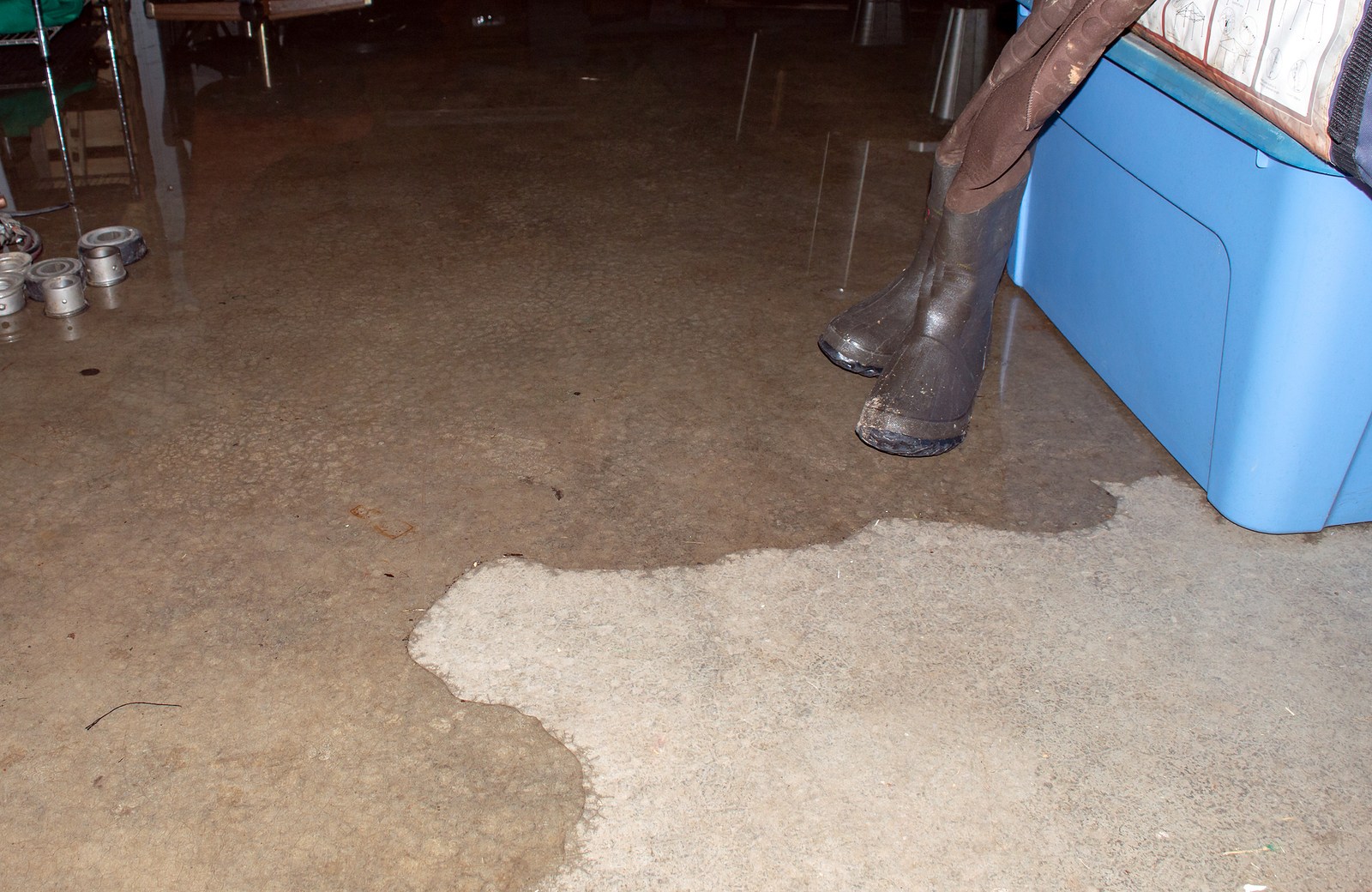 How to dry a carpeted floor after a flood · 1. Wet Basement Little Chute Wi Abt Foundation Solutions Inc