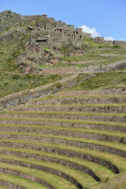 Pisac Ruins