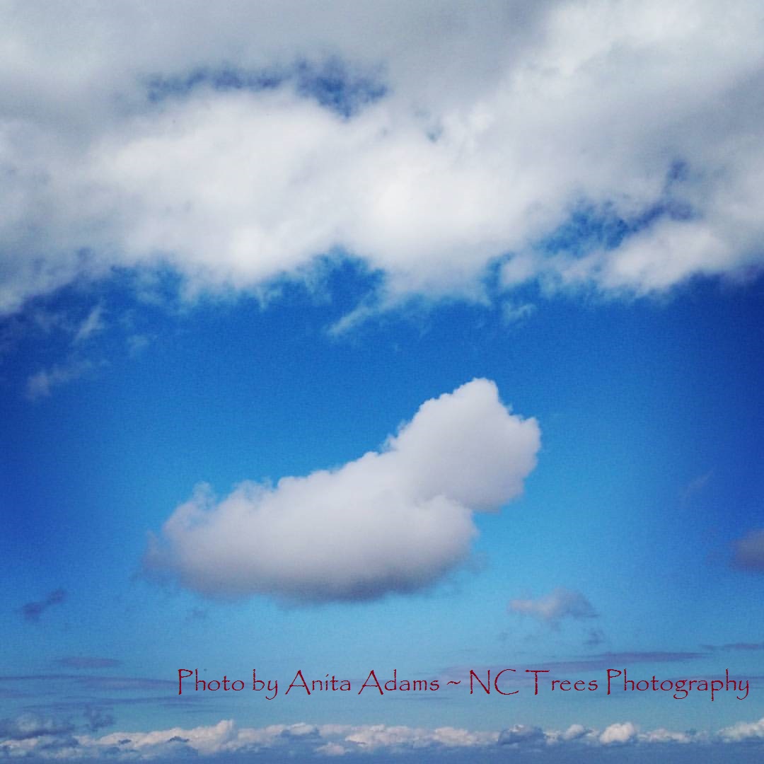 Signed - Clouds at Max Patch