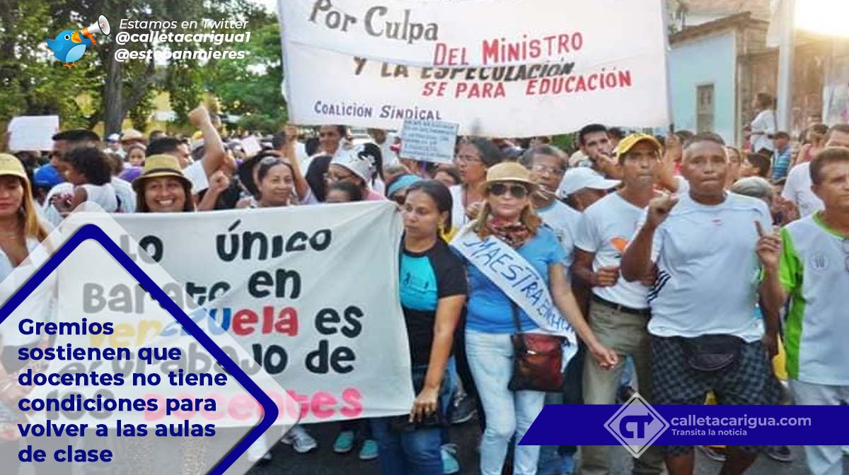 Docentes
