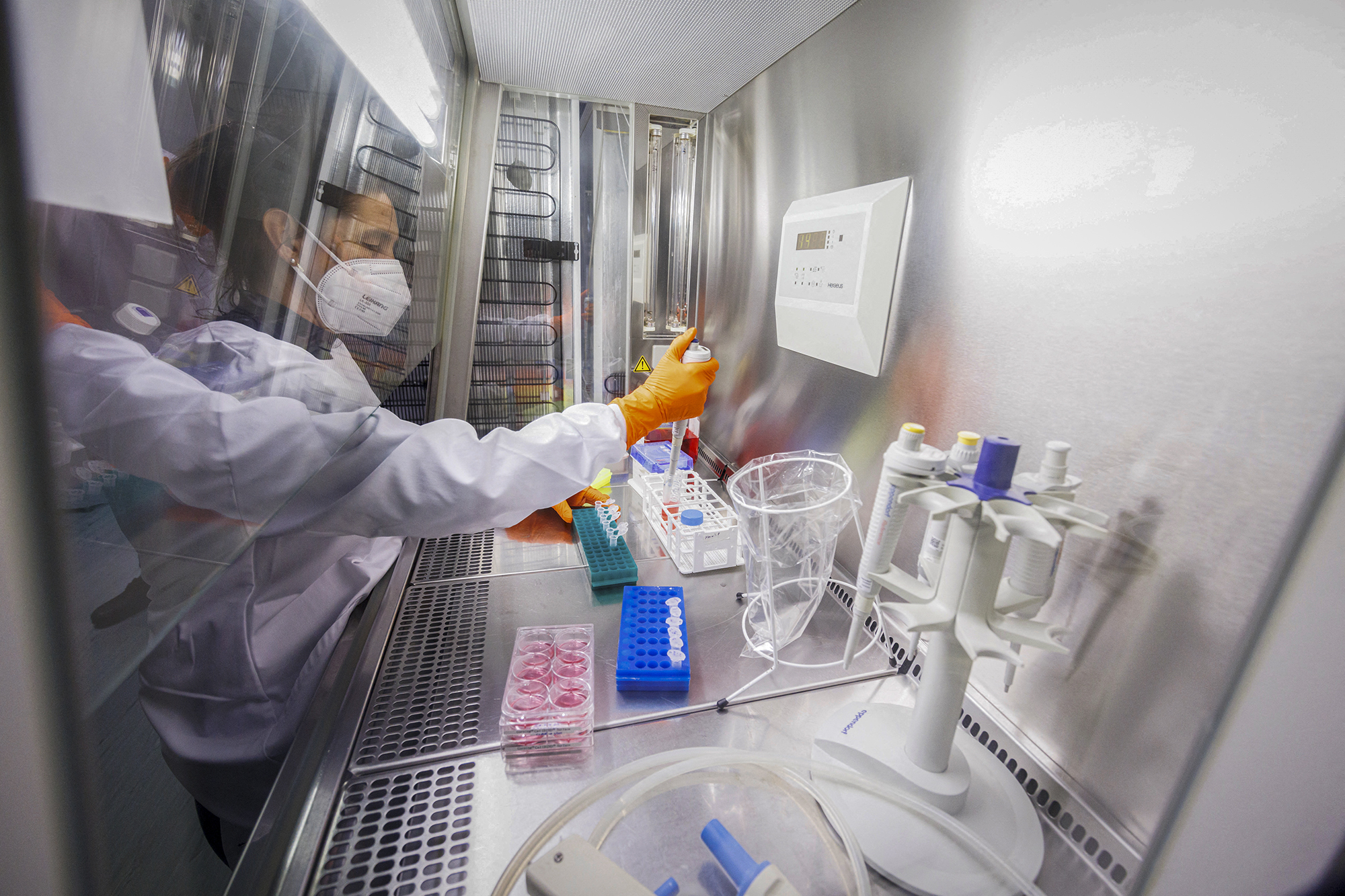 An employee works on a monkeypox vaccine at the laboratory of biotechnology company Bavarian Nordic in Germany, on May 24, 2022. The company has a smallpox vaccine which is also effective against monkeypox. REUTERS/Lukas Barth 