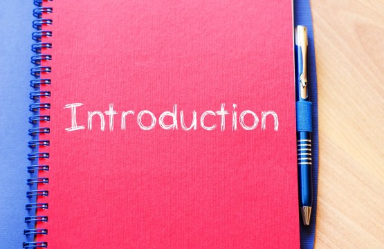 Без Обмежень – 24/02 23672446 introduction concept on notebook 1 jpg