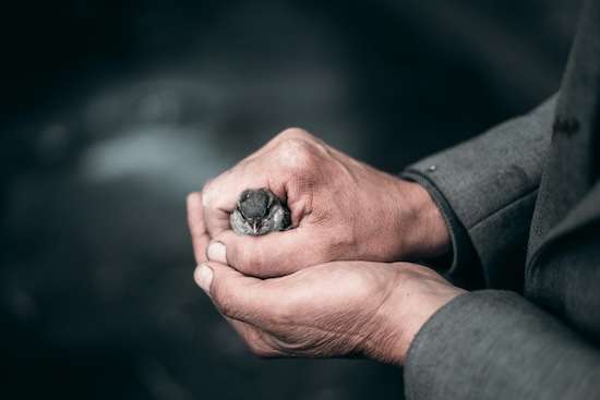 How Attention Training Helps You Stop Ruminating