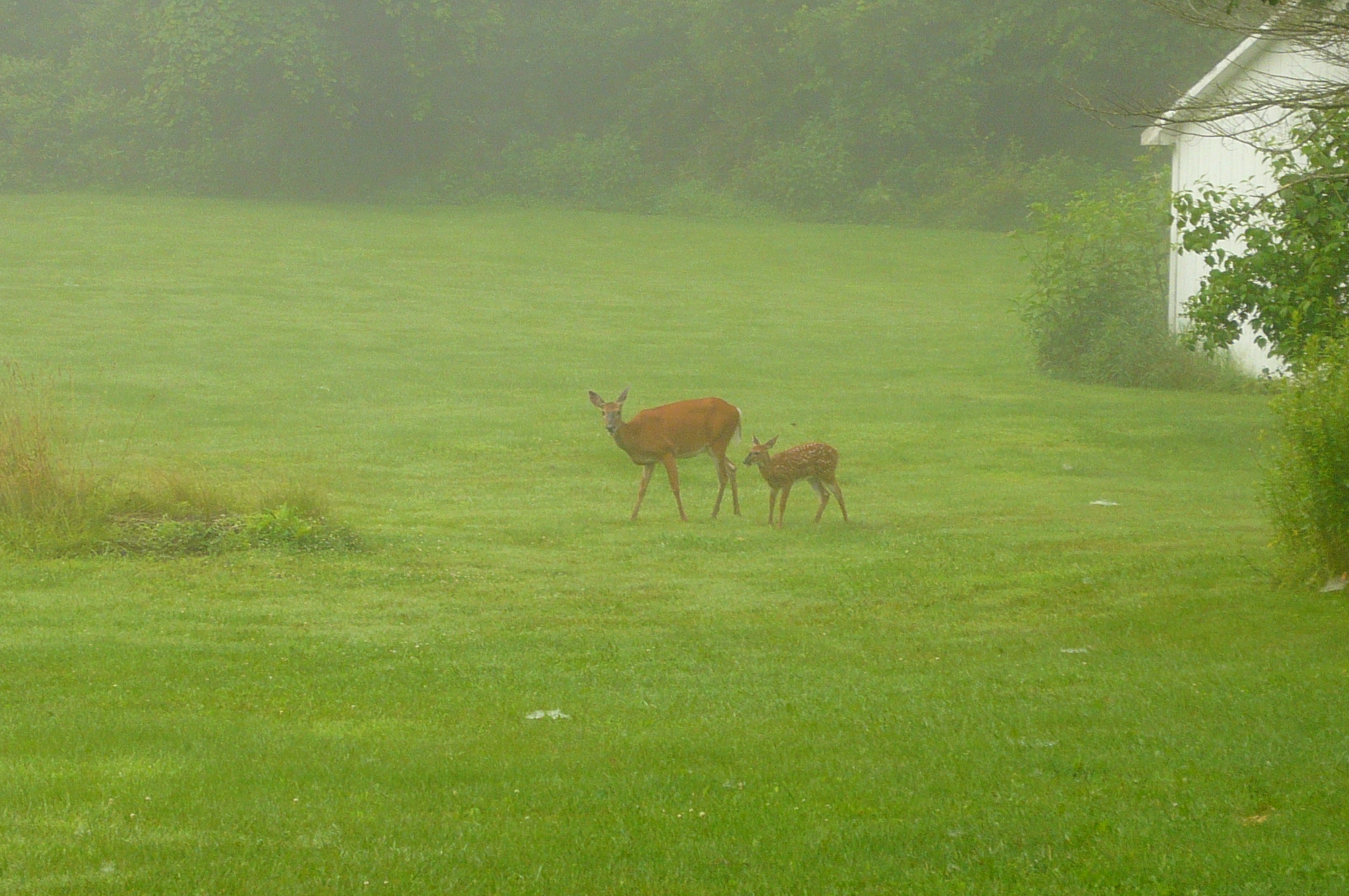 peters valley (part 1 the place) Cal Patch